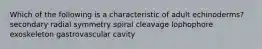 Which of the following is a characteristic of adult echinoderms? secondary radial symmetry spiral cleavage lophophore exoskeleton gastrovascular cavity