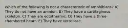 Which of the following is not a characteristic of amphibians? A) They do not have an amnion. B) They have a cartilaginous skeleton. C) They are ectothermic. D) They have a three-chambered heart. E) They have vertebrae.