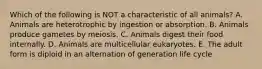 Which of the following is NOT a characteristic of all animals? A. Animals are heterotrophic by ingestion or absorption. B. Animals produce gametes by meiosis. C. Animals digest their food internally. D. Animals are multicellular eukaryotes. E. The adult form is diploid in an alternation of generation life cycle