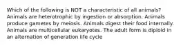 Which of the following is NOT a characteristic of all animals? Animals are heterotrophic by ingestion or absorption. Animals produce gametes by meiosis. Animals digest their food internally. Animals are multicellular eukaryotes. The adult form is diploid in an alternation of generation life cycle