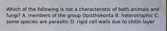 Which of the following is not a characteristic of both animals and fungi? A. members of the group Opisthokonta B. heterotrophic C. some species are parasitic D. rigid cell walls due to chitin layer