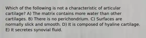 Which of the following is not a characteristic of articular cartilage? A) The matrix contains more water than other cartilages. B) There is no perichondrium. C) Surfaces are normally slick and smooth. D) It is composed of hyaline cartilage. E) It secretes synovial fluid.