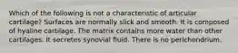 Which of the following is not a characteristic of articular cartilage? Surfaces are normally slick and smooth. It is composed of hyaline cartilage. The matrix contains more water than other cartilages. It secretes synovial fluid. There is no perichondrium.