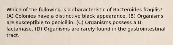 Which of the following is a characteristic of Bacteroides fragilis? (A) Colonies have a distinctive black appearance. (B) Organisms are susceptible to penicillin. (C) Organisms possess a B-lactamase. (D) Organisms are rarely found in the gastrointestinal tract.