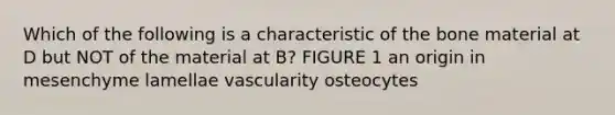 Which of the following is a characteristic of the bone material at D but NOT of the material at B? FIGURE 1 an origin in mesenchyme lamellae vascularity osteocytes