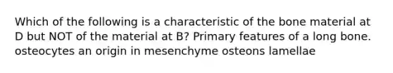 Which of the following is a characteristic of the bone material at D but NOT of the material at B? Primary features of a long bone. osteocytes an origin in mesenchyme osteons lamellae