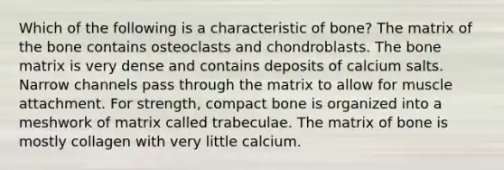 Which of the following is a characteristic of bone? The matrix of the bone contains osteoclasts and chondroblasts. The bone matrix is very dense and contains deposits of calcium salts. Narrow channels pass through the matrix to allow for muscle attachment. For strength, compact bone is organized into a meshwork of matrix called trabeculae. The matrix of bone is mostly collagen with very little calcium.