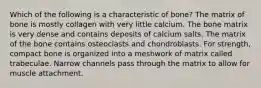 Which of the following is a characteristic of bone? The matrix of bone is mostly collagen with very little calcium. The bone matrix is very dense and contains deposits of calcium salts. The matrix of the bone contains osteoclasts and chondroblasts. For strength, compact bone is organized into a meshwork of matrix called trabeculae. Narrow channels pass through the matrix to allow for muscle attachment.