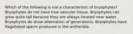Which of the following is not a characteristic of bryophytes? Bryophytes do not have true vascular tissue. Bryophytes can grow quite tall because they are always located near water. Bryophytes do show alternation of generations. Bryophytes have flagellated sperm produced in the antheridia.