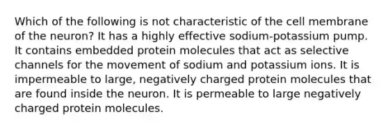 Which of the following is not characteristic of the cell membrane of the neuron? It has a highly effective sodium-potassium pump. It contains embedded protein molecules that act as selective channels for the movement of sodium and potassium ions. It is impermeable to large, negatively charged protein molecules that are found inside the neuron. It is permeable to large negatively charged protein molecules.