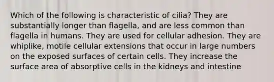 Which of the following is characteristic of cilia? They are substantially longer than flagella, and are less common than flagella in humans. They are used for cellular adhesion. They are whiplike, motile cellular extensions that occur in large numbers on the exposed surfaces of certain cells. They increase the surface area of absorptive cells in the kidneys and intestine