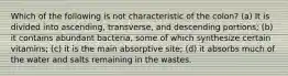 Which of the following is not characteristic of the colon? (a) It is divided into ascending, transverse, and descending portions; (b) it contains abundant bacteria, some of which synthesize certain vitamins; (c) it is the main absorptive site; (d) it absorbs much of the water and salts remaining in the wastes.