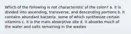 Which of the following is not characteristic of the colon? a. it is divided into ascending, transverse, and descending portions b. it contains abundant bacteria, some of which synthesize certain vitamins c. it is the main absorptive site d. it absorbs much of the water and salts remaining in the wastes