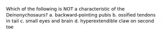 Which of the following is NOT a characteristic of the Deinonychosaurs? a. backward-pointing pubis b. ossified tendons in tail c. small eyes and brain d. hyperextendible claw on second toe