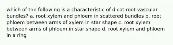 which of the following is a characteristic of dicot root vascular bundles? a. root xylem and phloem in scattered bundles b. root phloem between arms of xylem in star shape c. root xylem between arms of phloem in star shape d. root xylem and phloem in a ring