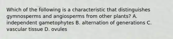 Which of the following is a characteristic that distinguishes gymnosperms and angiosperms from other plants? A. independent gametophytes B. alternation of generations C. vascular tissue D. ovules