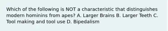 Which of the following is NOT a characteristic that distinguishes modern hominins from apes? A. Larger Brains B. Larger Teeth C. Tool making and tool use D. Bipedalism