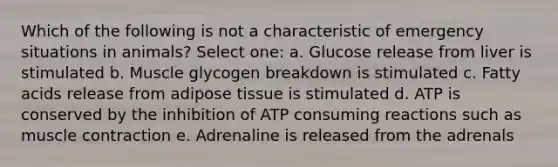 Which of the following is not a characteristic of emergency situations in animals? Select one: a. Glucose release from liver is stimulated b. Muscle glycogen breakdown is stimulated c. Fatty acids release from adipose tissue is stimulated d. ATP is conserved by the inhibition of ATP consuming reactions such as <a href='https://www.questionai.com/knowledge/k0LBwLeEer-muscle-contraction' class='anchor-knowledge'>muscle contraction</a> e. Adrenaline is released from the adrenals