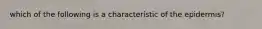 which of the following is a characteristic of the epidermis?