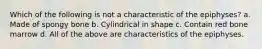 Which of the following is not a characteristic of the epiphyses? a. Made of spongy bone b. Cylindrical in shape c. Contain red bone marrow d. All of the above are characteristics of the epiphyses.