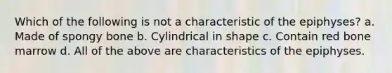 Which of the following is not a characteristic of the epiphyses? a. Made of spongy bone b. Cylindrical in shape c. Contain red bone marrow d. All of the above are characteristics of the epiphyses.