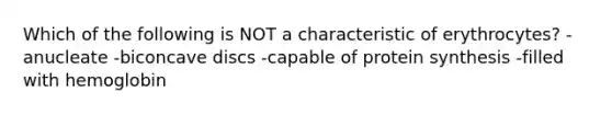 Which of the following is NOT a characteristic of erythrocytes? -anucleate -biconcave discs -capable of protein synthesis -filled with hemoglobin