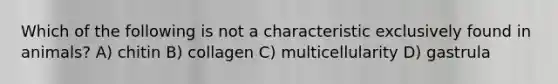 Which of the following is not a characteristic exclusively found in animals? A) chitin B) collagen C) multicellularity D) gastrula