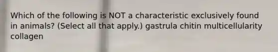 Which of the following is NOT a characteristic exclusively found in animals? (Select all that apply.) gastrula chitin multicellularity collagen