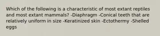 Which of the following is a characteristic of most extant reptiles and most extant mammals? -Diaphragm -Conical teeth that are relatively uniform in size -Keratinized skin -Ectothermy -Shelled eggs