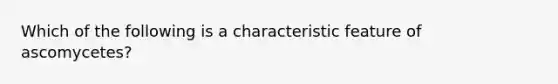 Which of the following is a characteristic feature of ascomycetes?