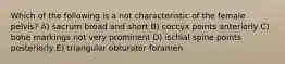 Which of the following is a not characteristic of the female pelvis? A) sacrum broad and short B) coccyx points anteriorly C) bone markings not very prominent D) ischial spine points posteriorly E) triangular obturator foramen