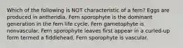 Which of the following is NOT characteristic of a fern? Eggs are produced in antheridia. Fern sporophyte is the dominant generation in the fern life cycle. Fern gametophyte is nonvascular. Fern sporophyte leaves first appear in a curled-up form termed a fiddlehead. Fern sporophyte is vascular.