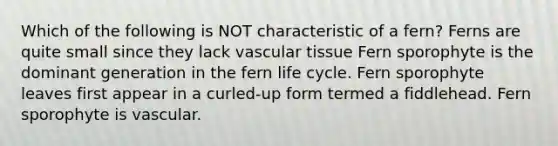 Which of the following is NOT characteristic of a fern? Ferns are quite small since they lack vascular tissue Fern sporophyte is the dominant generation in the fern life cycle. Fern sporophyte leaves first appear in a curled-up form termed a fiddlehead. Fern sporophyte is vascular.