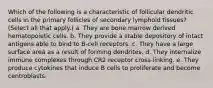 Which of the following is a characteristic of follicular dendritic cells in the primary follicles of secondary lymphoid tissues? (Select all that apply.) a. They are bone marrow derived hematopoietic cells. b. They provide a stable depository of intact antigens able to bind to B-cell receptors. c. They have a large surface area as a result of forming dendrites. d. They internalize immune complexes through CR2 receptor cross-linking. e. They produce cytokines that induce B cells to proliferate and become centroblasts.