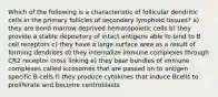 Which of the following is a characteristic of follicular dendritic cells in the primary follicles of secondary lymphoid tissues? a) they are bond marrow deprived hematopoietic cells b) they provide a stable depository of intact antigens able to bind to B cell receptors c) they have a large surface area as a result of forming dendrites d) they internalize immune complexes through CR2 receptor cross linking e) they bear bundles of immune complexes called iccosomes that are passed on to antigen specific B cells f) they produce cytokines that induce Bcells to proliferate and become centroblasts