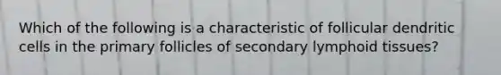 Which of the following is a characteristic of follicular dendritic cells in the primary follicles of secondary lymphoid tissues?