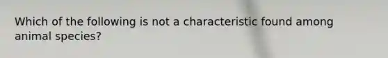Which of the following is not a characteristic found among animal species?