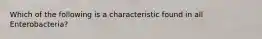 Which of the following is a characteristic found in all Enterobacteria?