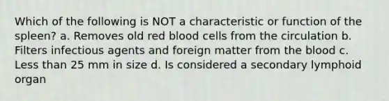 Which of the following is NOT a characteristic or function of the spleen? a. Removes old red blood cells from the circulation b. Filters infectious agents and foreign matter from the blood c. Less than 25 mm in size d. Is considered a secondary lymphoid organ