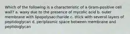 Which of the following is a characteristic of a Gram-positive cell wall? a. waxy due to the presence of mycolic acid b. outer membrane with lipopolysaccharide c. thick with several layers of peptidoglycan d. periplasmic space between membrane and peptidoglycan