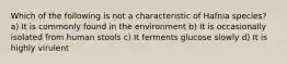 Which of the following is not a characteristic of Hafnia species? a) It is commonly found in the environment b) It is occasionally isolated from human stools c) It ferments glucose slowly d) It is highly virulent