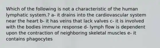 Which of the following is not a characteristic of the human lymphatic system.? a- it drains into the cardiovascular system near the heart b- it has veins that lack valves c- it is involved with the bodies immune response d- lymph flow is dependent upon the contraction of neighboring skeletal muscles e- it contains phagocytes