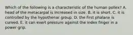 Which of the following is a characteristic of the human pollex? A. head of the metacarpal is increased in size. B. it is short. C. it is controlled by the hypothenar group. D. the first phalanx is curved. E. it can exert pressure against the index finger in a power grip.