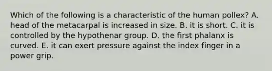 Which of the following is a characteristic of the human pollex? A. head of the metacarpal is increased in size. B. it is short. C. it is controlled by the hypothenar group. D. the first phalanx is curved. E. it can exert pressure against the index finger in a power grip.
