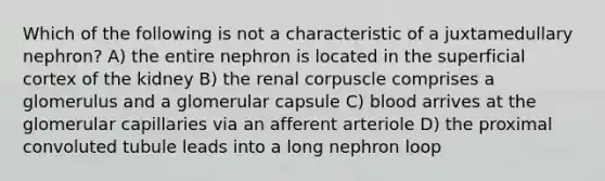 Which of the following is not a characteristic of a juxtamedullary nephron? A) the entire nephron is located in the superficial cortex of the kidney B) the renal corpuscle comprises a glomerulus and a glomerular capsule C) blood arrives at the glomerular capillaries via an afferent arteriole D) the proximal convoluted tubule leads into a long nephron loop