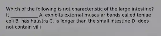 Which of the following is not characteristic of the large intestine? It ____________ A. exhibits external muscular bands called teniae coli B. has haustra C. is longer than the small intestine D. does not contain villi