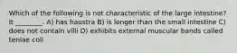 Which of the following is not characteristic of the large intestine? It ________. A) has haustra B) is longer than the small intestine C) does not contain villi D) exhibits external muscular bands called teniae coli