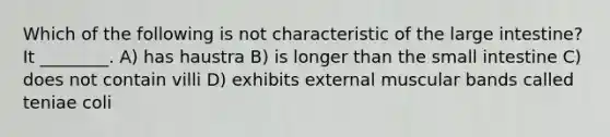 Which of the following is not characteristic of the <a href='https://www.questionai.com/knowledge/kGQjby07OK-large-intestine' class='anchor-knowledge'>large intestine</a>? It ________. A) has haustra B) is longer than <a href='https://www.questionai.com/knowledge/kt623fh5xn-the-small-intestine' class='anchor-knowledge'>the small intestine</a> C) does not contain villi D) exhibits external muscular bands called teniae coli