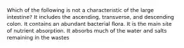 Which of the following is not a characteristic of the large intestine? It includes the ascending, transverse, and descending colon. It contains an abundant bacterial flora. It is the main site of nutrient absorption. It absorbs much of the water and salts remaining in the wastes