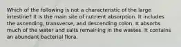 Which of the following is not a characteristic of the large intestine? It is the main site of nutrient absorption. It includes the ascending, transverse, and descending colon. It absorbs much of the water and salts remaining in the wastes. It contains an abundant bacterial flora.